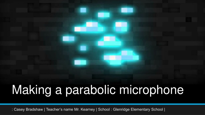 making a parabolic microphone n.w