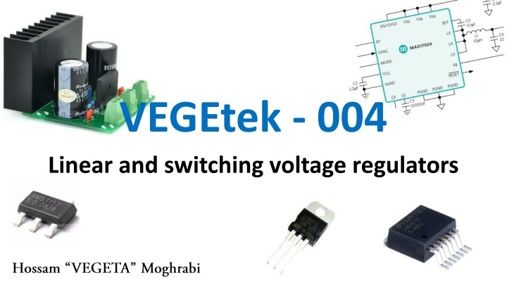 vegetek 004 linear and switching voltage n.w