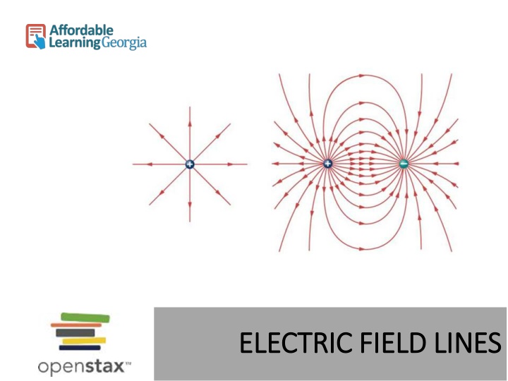 electric field lines electric field lines n.w