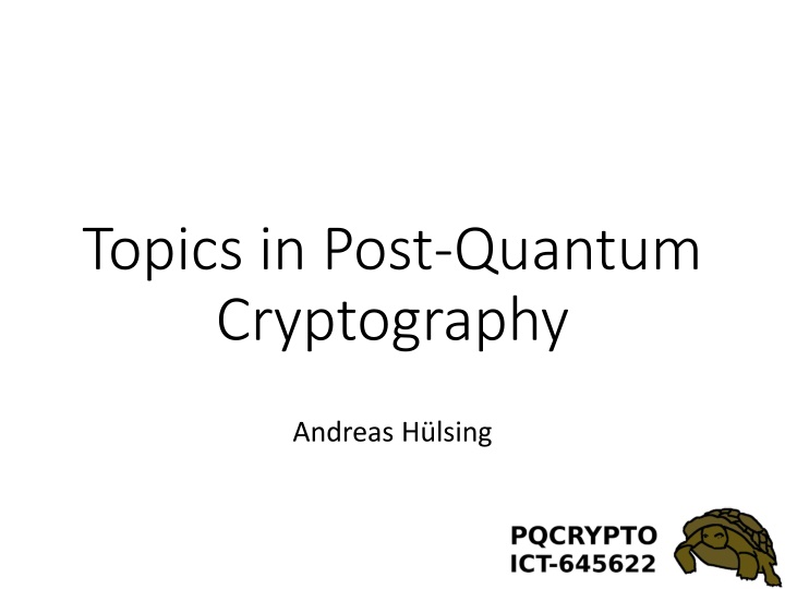 topics in post quantum cryptography n.w