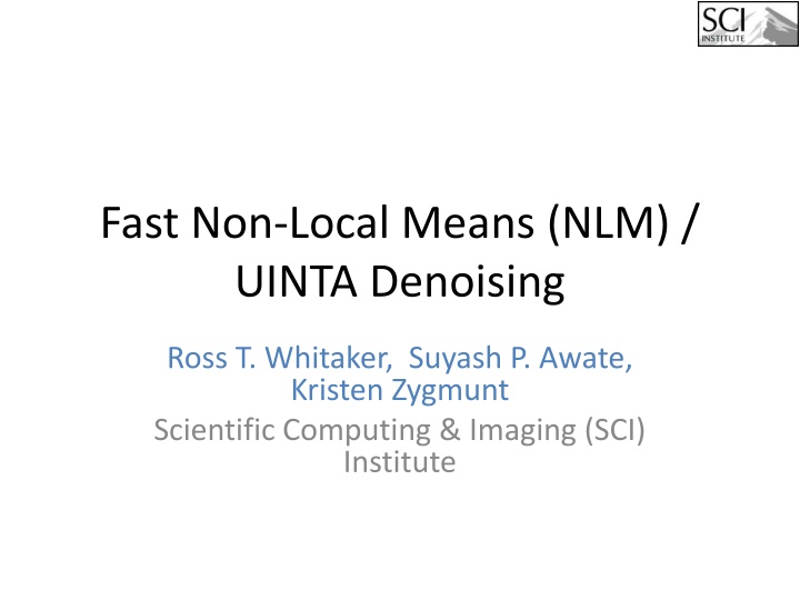 fast non local means nlm uinta denoising n.w