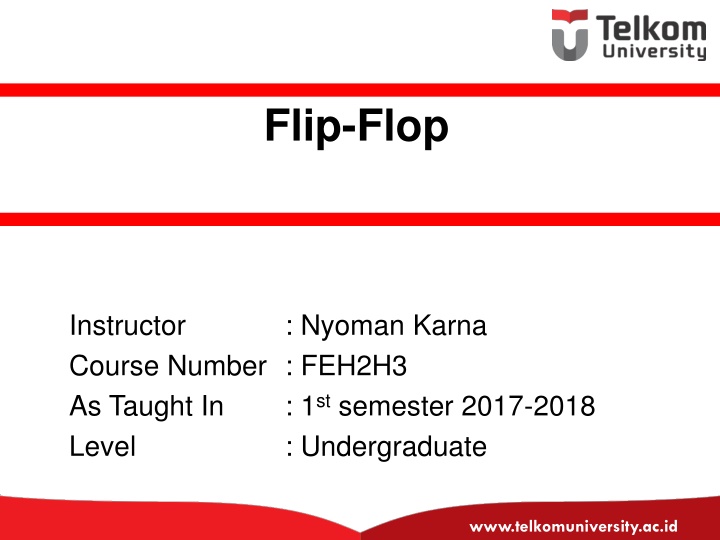 flip flop n.w
