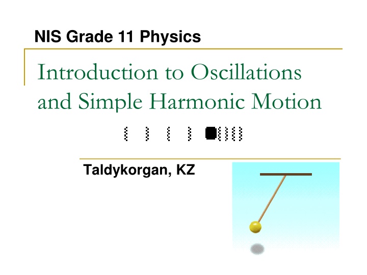 nis grade 11 physics n.w