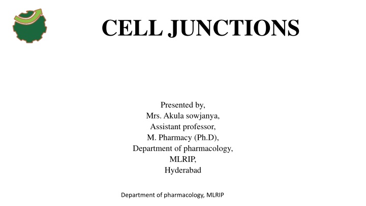 cell junctions n.w