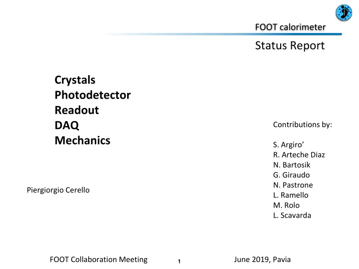 foot calorimeter n.w