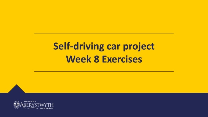 self driving car project week 8 exercises n.w