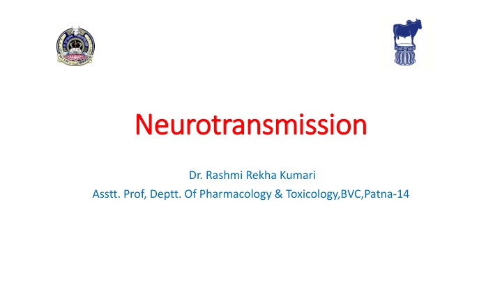 neurotransmission neurotransmission n.w