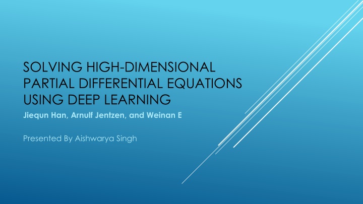 solving high dimensional partial differential n.w