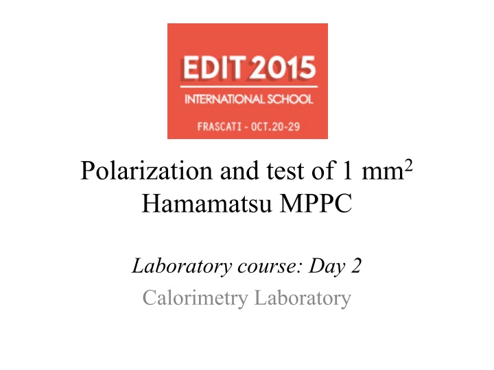 polarization and test of 1 mm 2 hamamatsu mppc n.w
