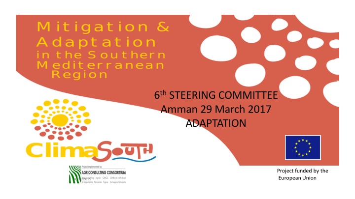 6 th steering committee amman 29 march 2017 n.w
