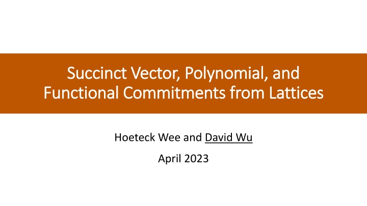 succinct vector polynomial and succinct vector n.w