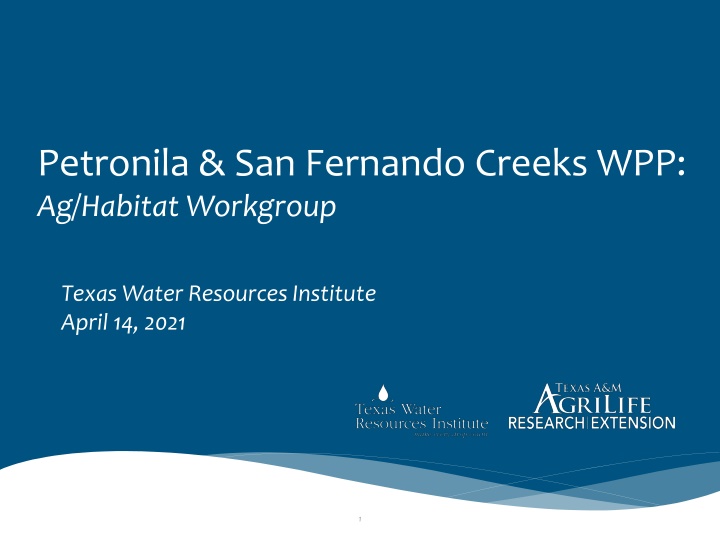 petronila san fernando creeks wpp ag habitat n.w