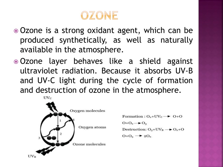ozone n.w