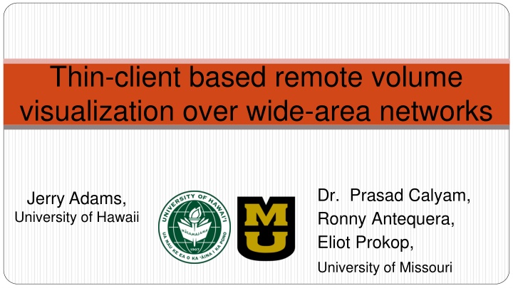 thin client based remote volume visualization n.w