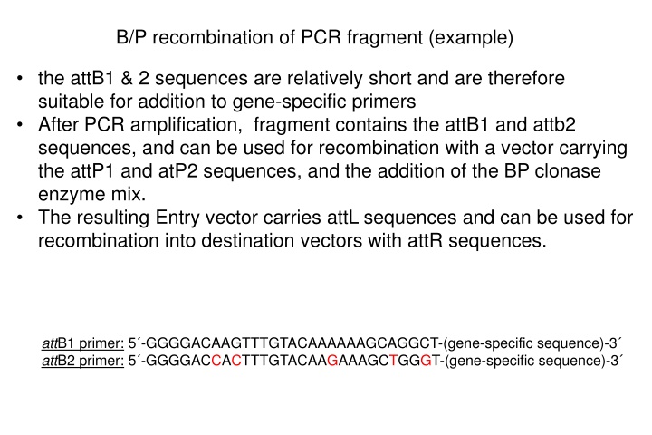 b p recombination of pcr fragment example n.w