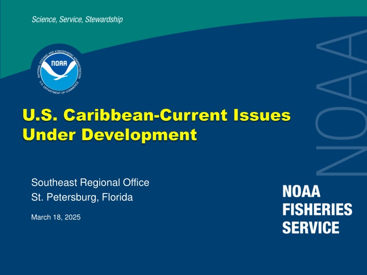 u s caribbean u s caribbean current issues under n.w