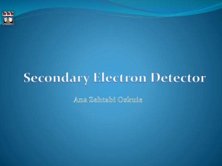 secondary electron detector n.w