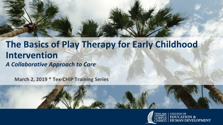 the basics of play therapy for early childhood n.w