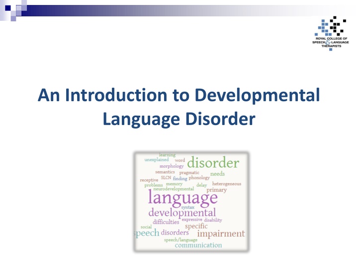 an introduction to developmental language disorder n.w