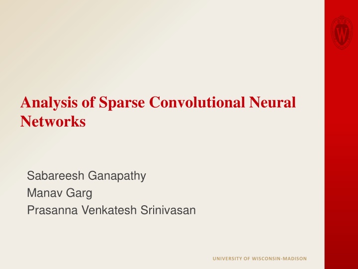analysis of sparse convolutional neural networks n.w