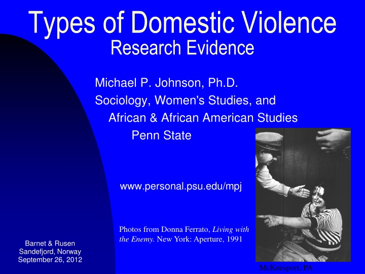 types of domestic violence research evidence n.w