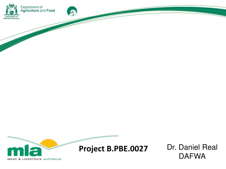 dr daniel real dafwa n.w