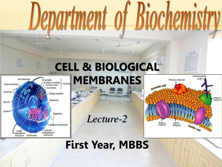 cell biological membranes n.w