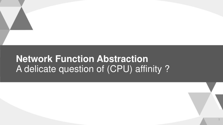 network function abstraction a delicate question n.w