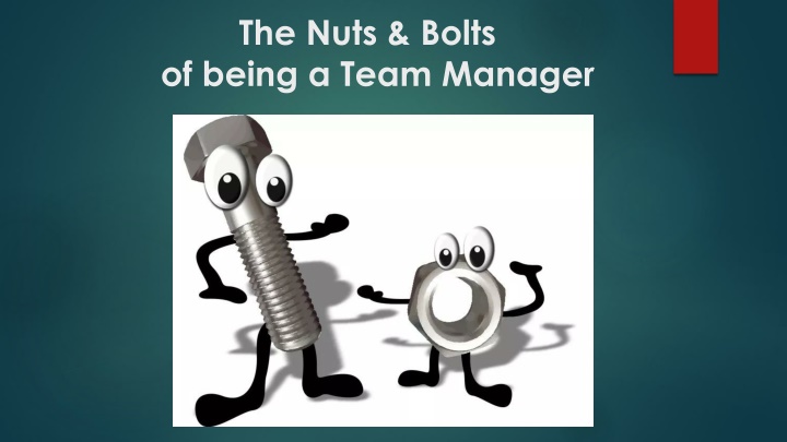 the nuts bolts of being a team manager n.w