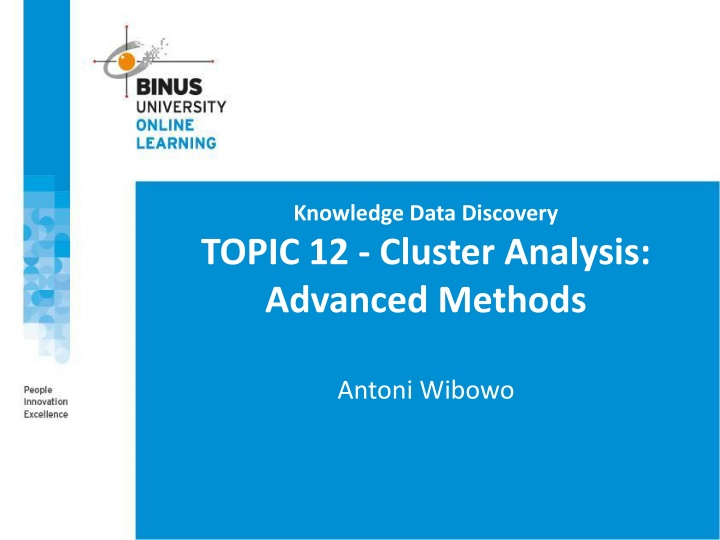 knowledge data discovery topic 12 cluster n.w