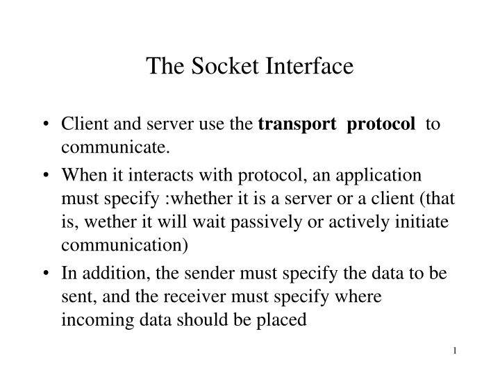 the socket interface n.w