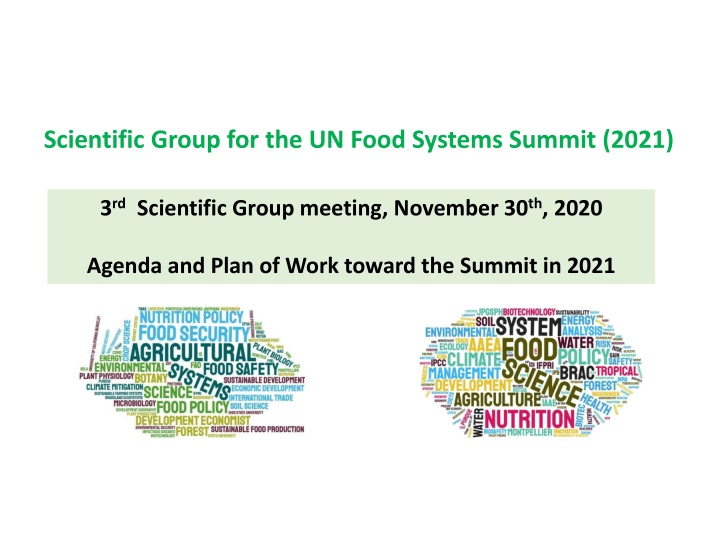 scientific group for the un food systems summit n.w
