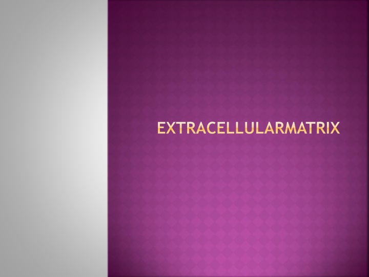extracellularmatrix n.w