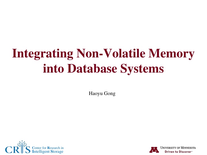 integrating non volatile memory into database n.w
