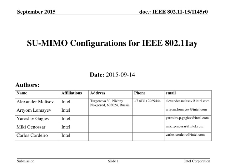 SU-MIMO Configurations for IEEE 802.11ay Standard