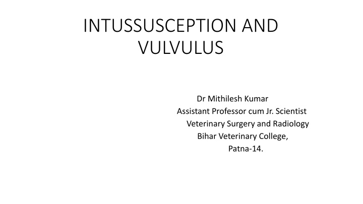 intussusception and vulvulus n.w