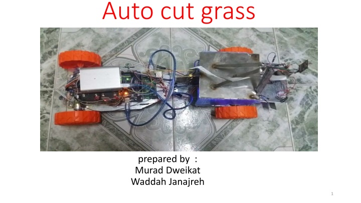 auto cut grass n.w