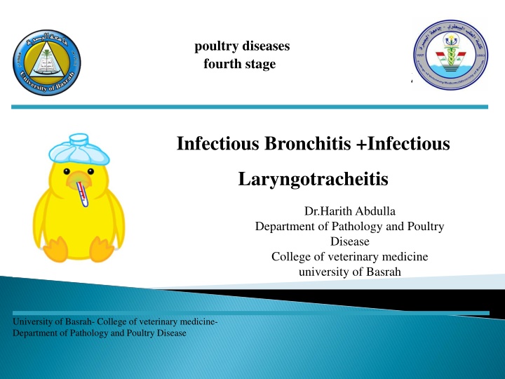 poultry diseases fourth stage n.w