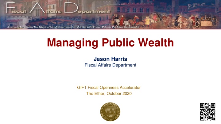 managing public wealth n.w