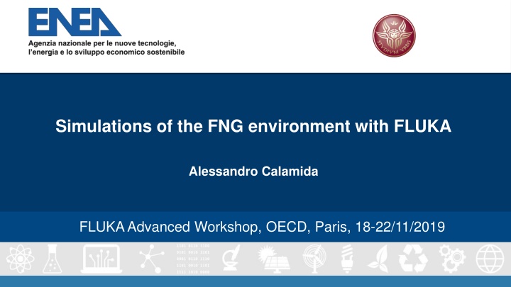 simulations of the fng environment with fluka n.w