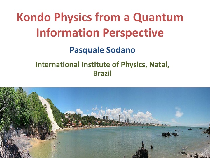 kondo physics from a quantum information n.w