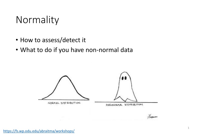 normality n.w