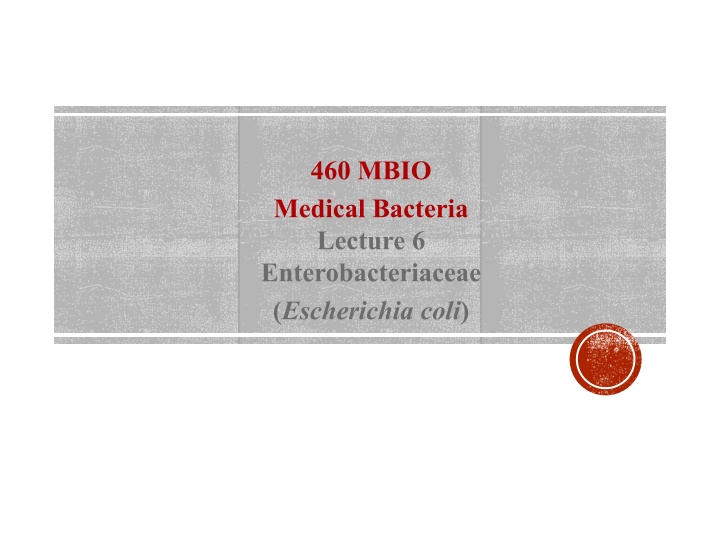 460 mbio medical bacteria lecture n.w