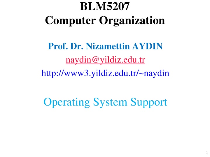 blm5207 n.w