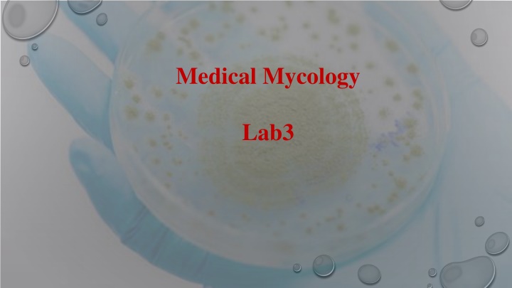 medical mycology n.w
