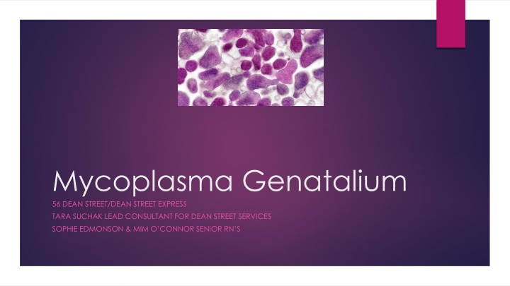mycoplasma genatalium 56 dean street dean street n.w