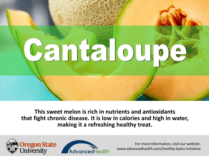 cantaloupe cantaloupe n.w