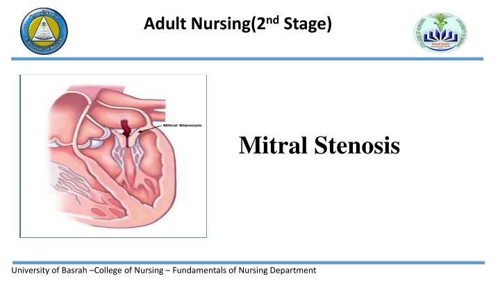 adult nursing 2 nd stage n.w