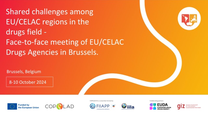 shared challenges among eu celac regions n.w