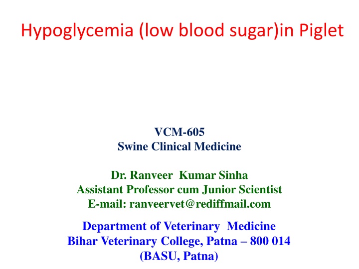 Managing Hypoglycemia in Piglets